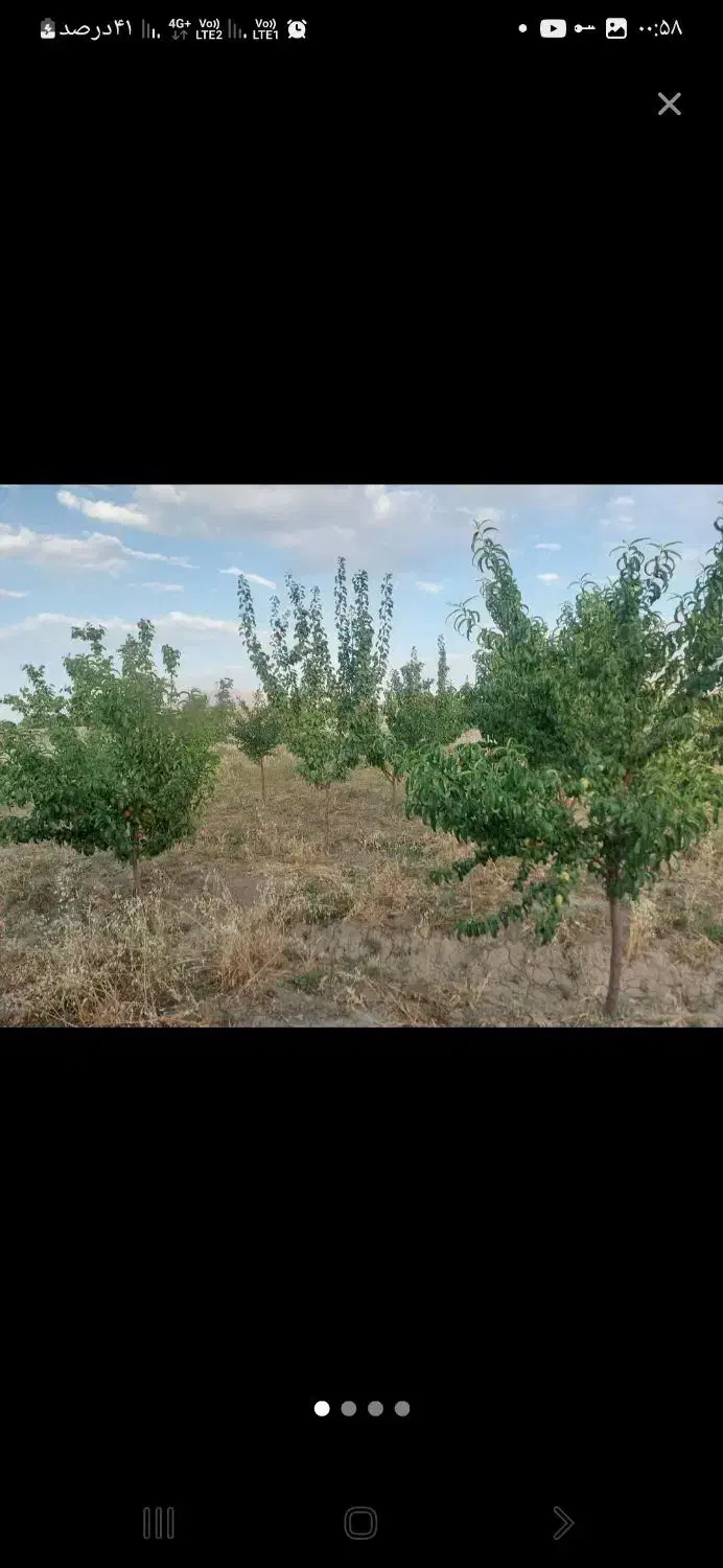 باغ ویلا چند قواره(اطلاعات خوانده شود