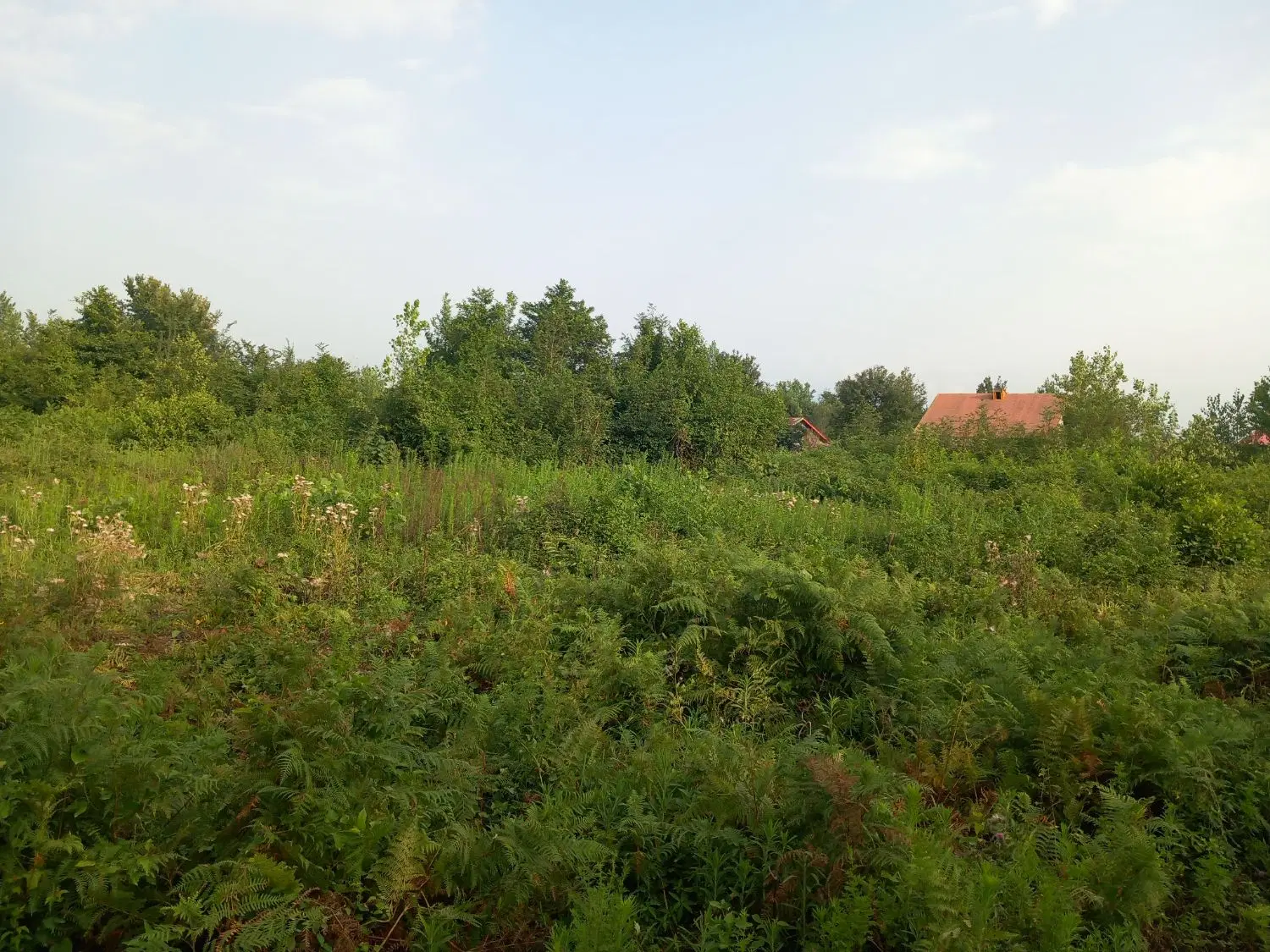 زمین مسکونی خوش آب و هوا