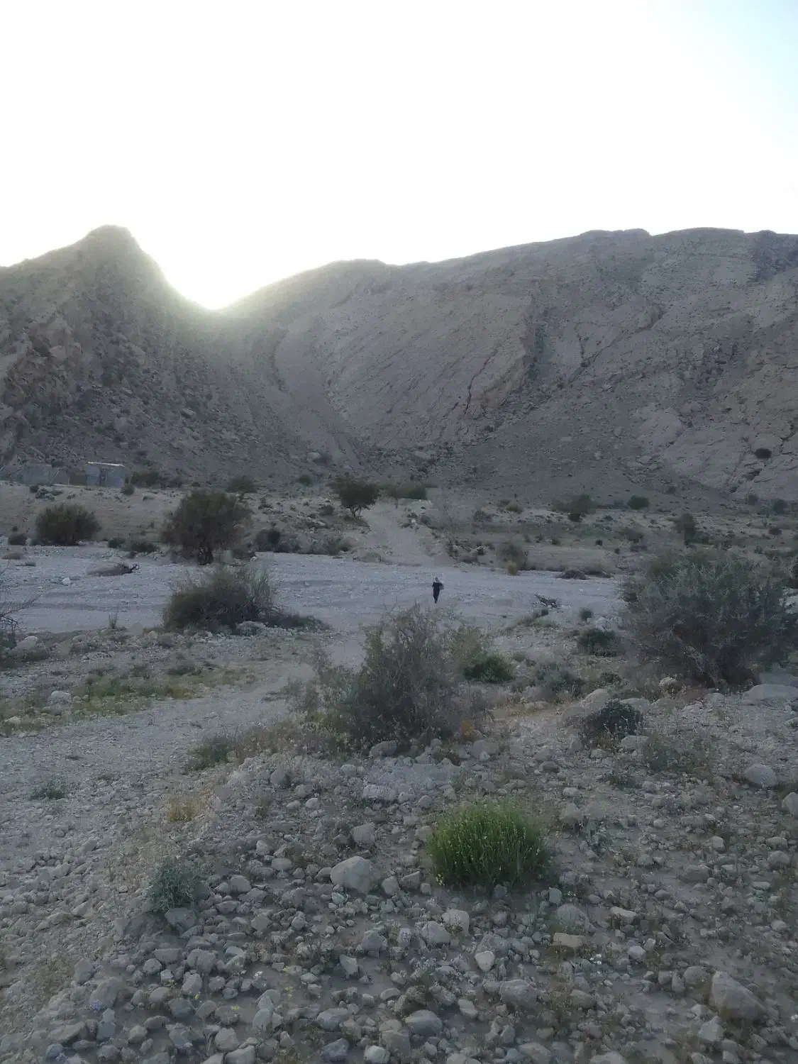 زمین مسکونی بخش احمدی سرگز