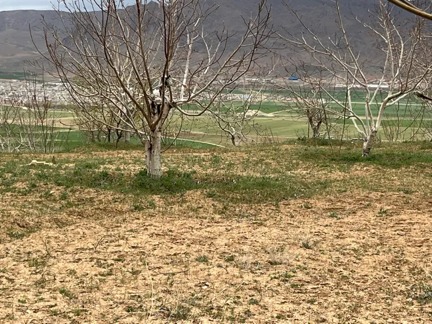 فروش باغ در بلداجی