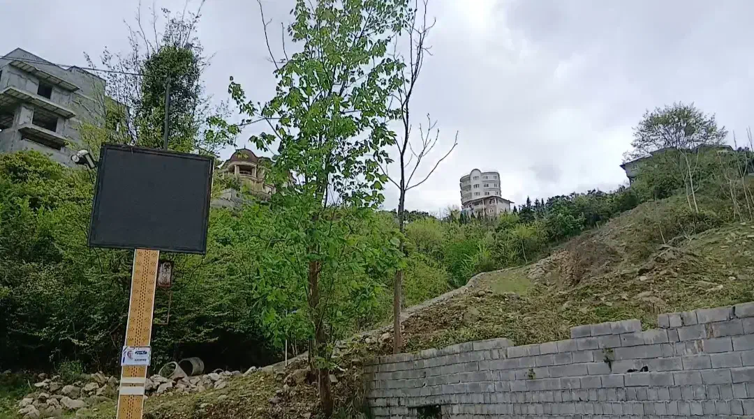 زمین اربه کله رامسر