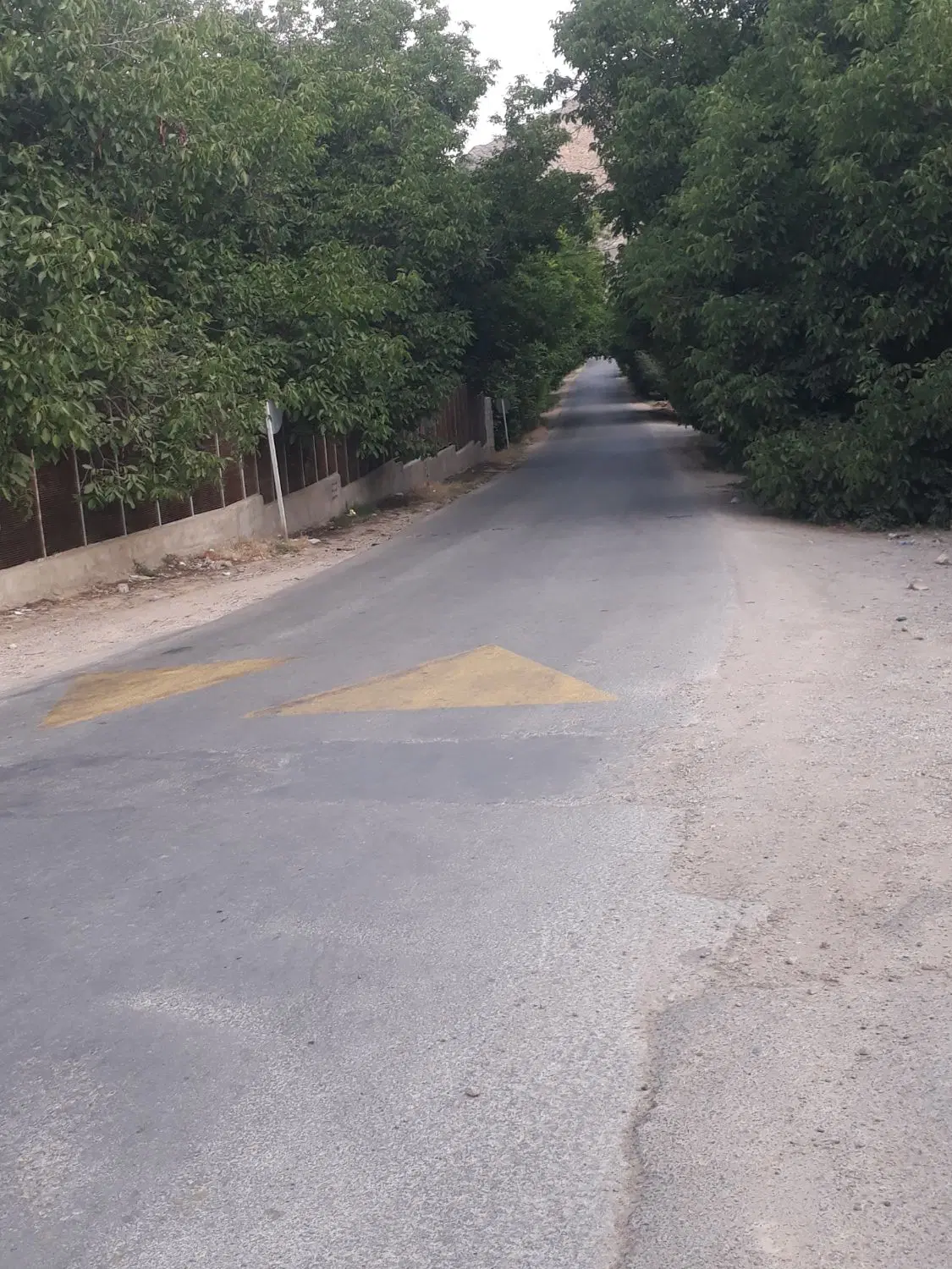 باغ ویلا