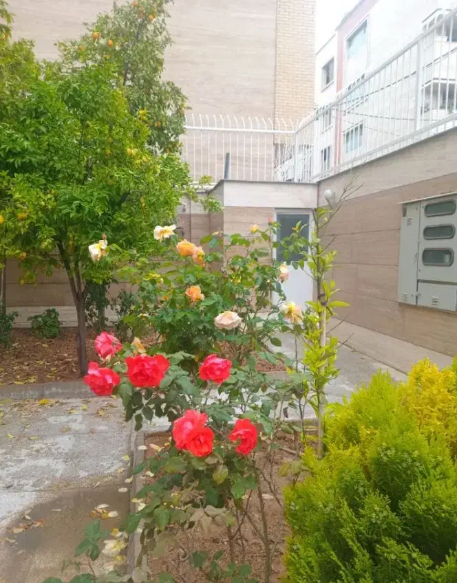 زمین مناسب مسکونی و تجاری