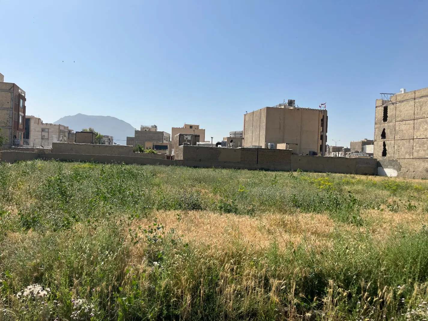 فروش زمین بر خیابان ارغوانیه