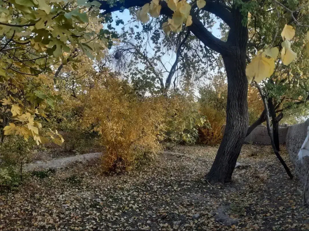 خانه اجاره ای گلباف