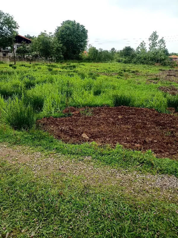 زمین با کاربری مسکونی ۳۰۰ متر ساخت قلعه _مالک