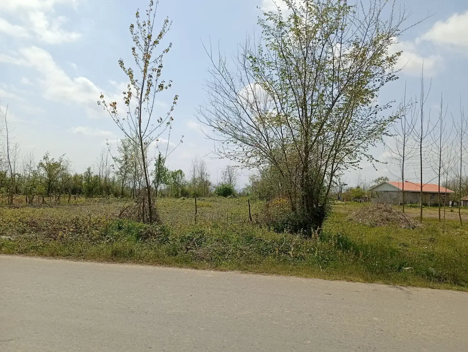زمین باغی با کاربری مسکونی