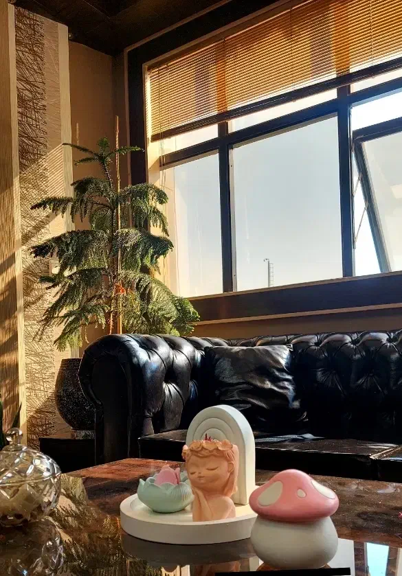 اجاره مطب زیبایی باتمامی تجهیزات