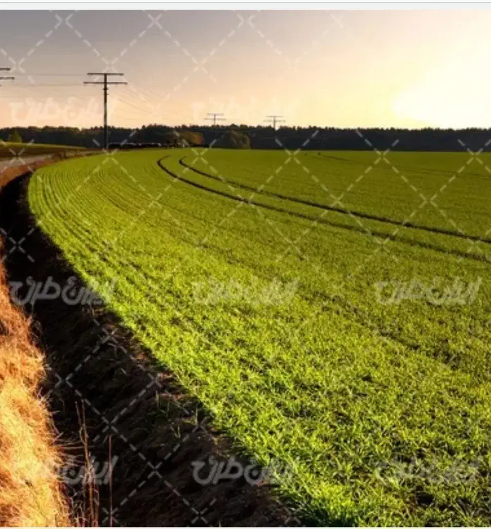 فروش زمین