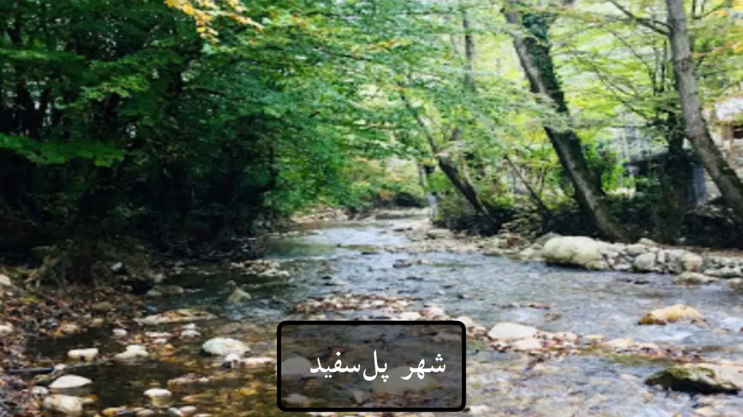 فرصت ساخت ویلا در سوادکوه، زمین در منطقه دنج