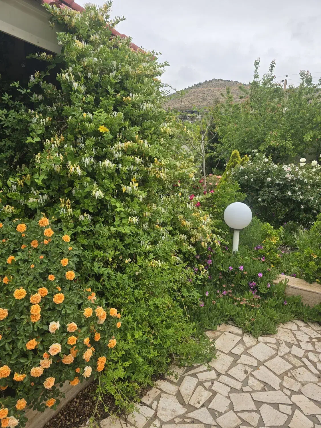 زمین باغشهری،جاده صدرا،مسکونی،تجاری