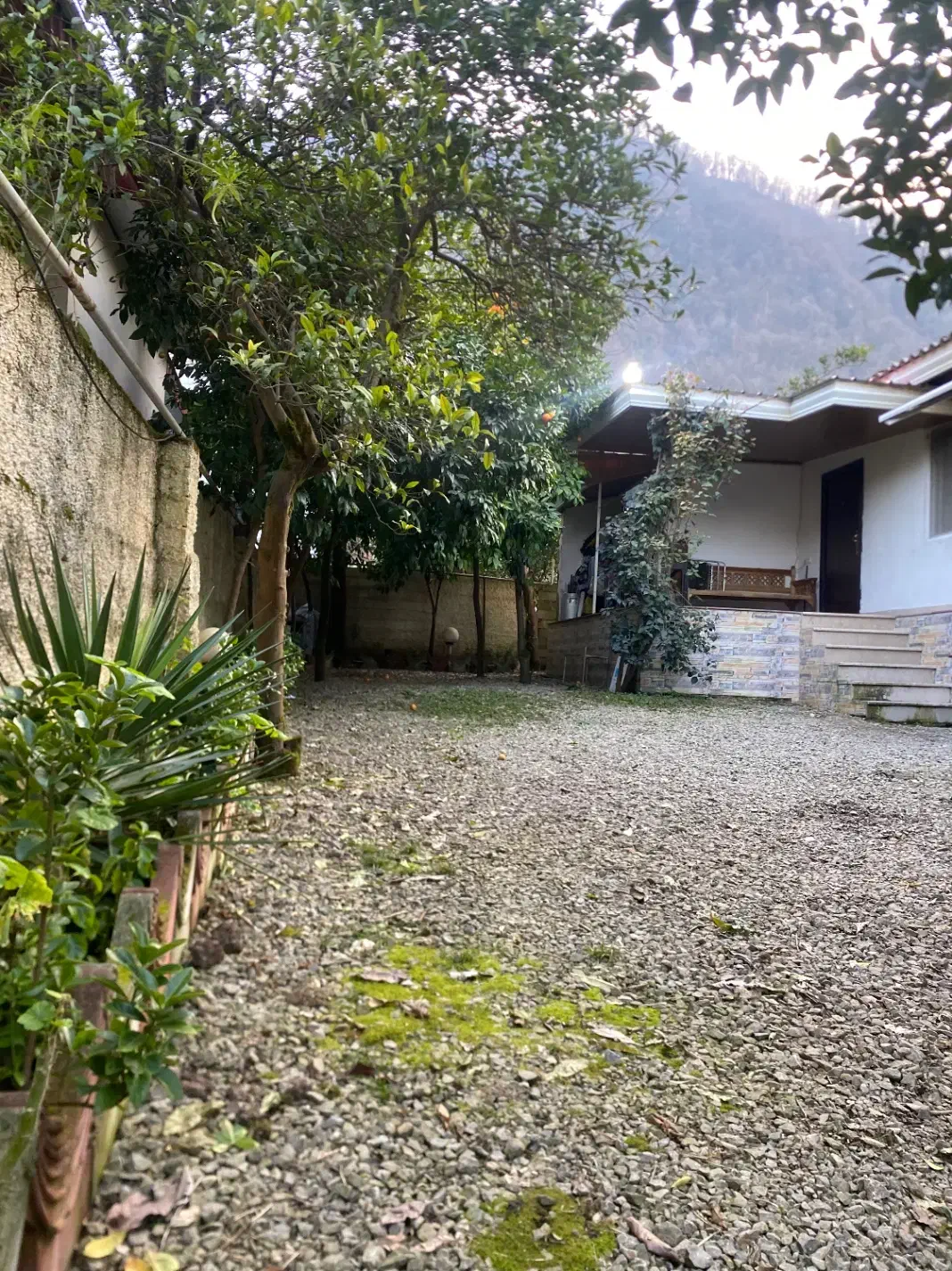 اجاره یکساله ویلا باغ دربست