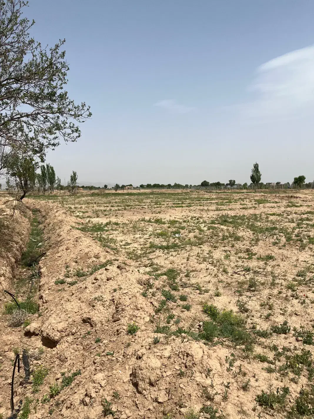 فروش باغ زراعی