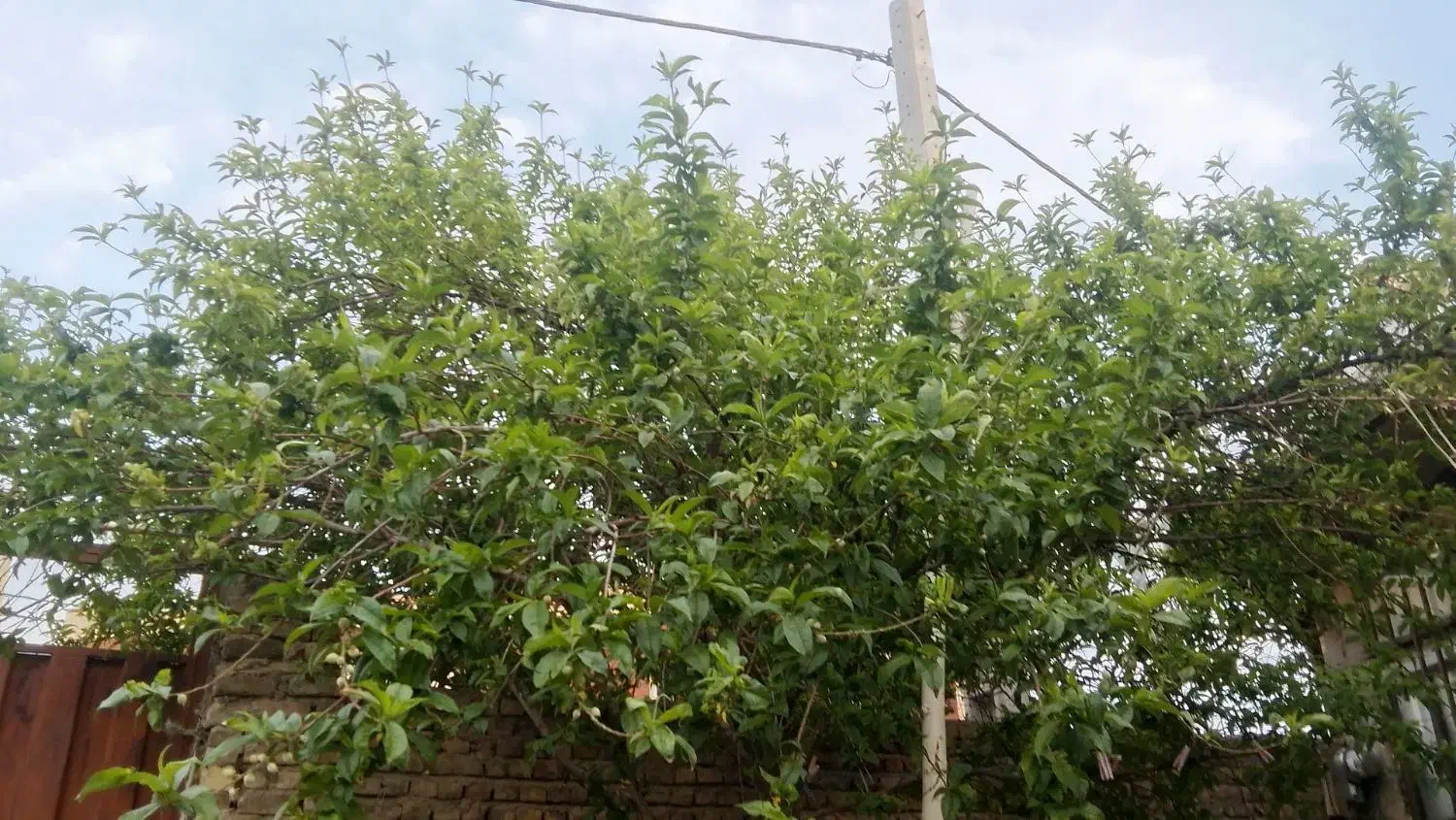خانه ی ویلایی