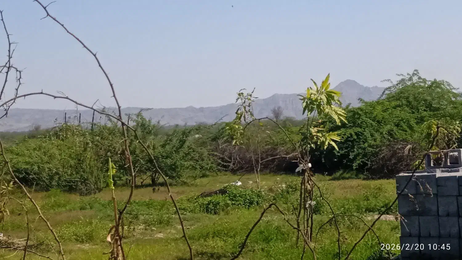 ۱۶۰۰متر زمین باغی