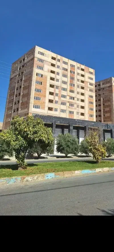 سروقامتان بر بلوار اندیشه