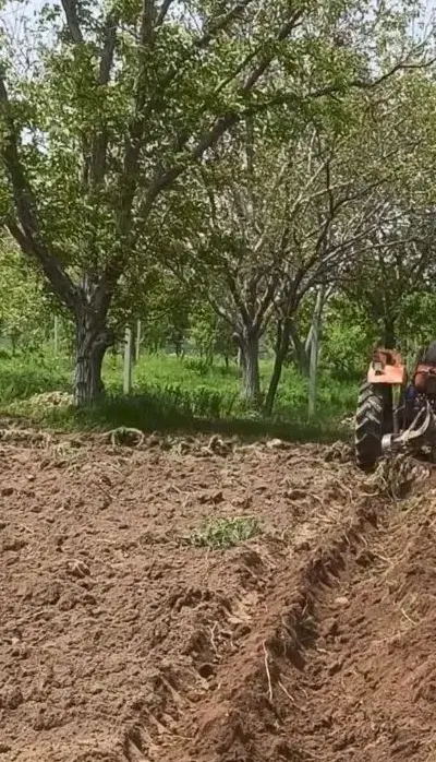 فروش 20 من باغ عجب شیر