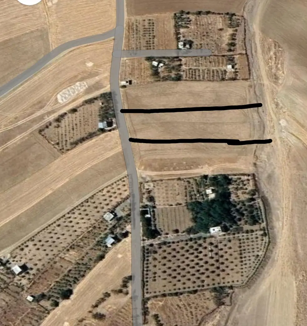زمین کشاورزی