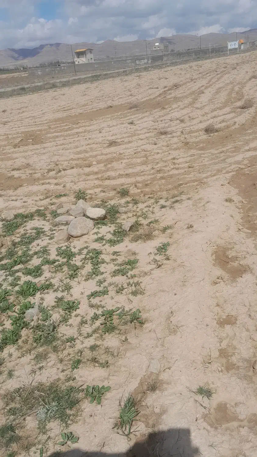 زمین زراعی با کاربری مسکونی