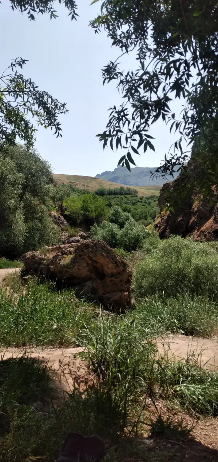فروش زمین