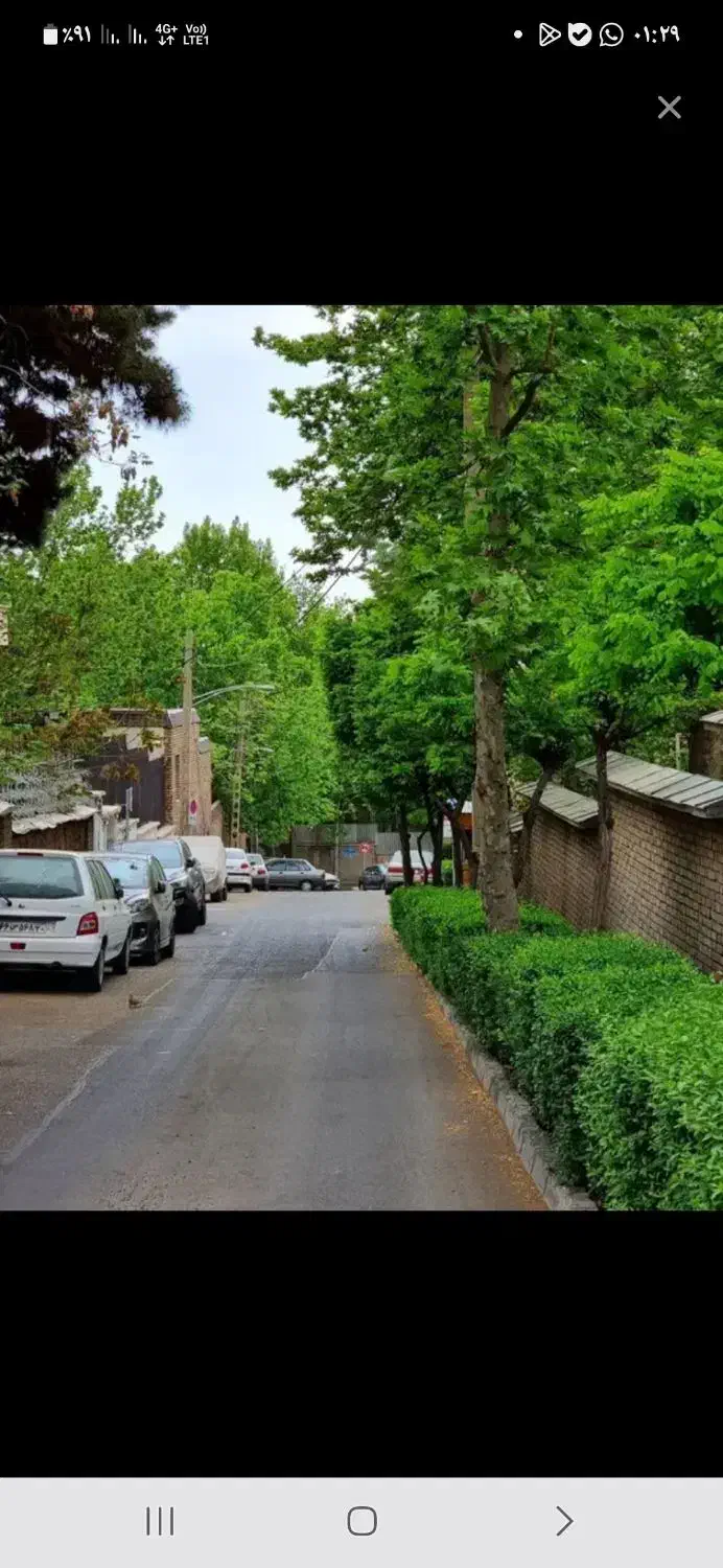 اجاره مغازه برو خیابان پاخور زیاد