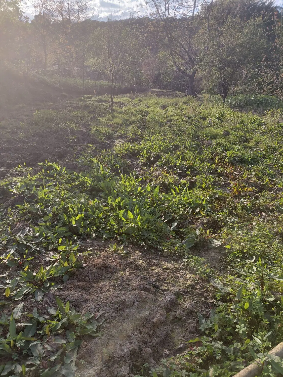 ۶۸۰ متر زمین داخل بافت روستای ارزفون