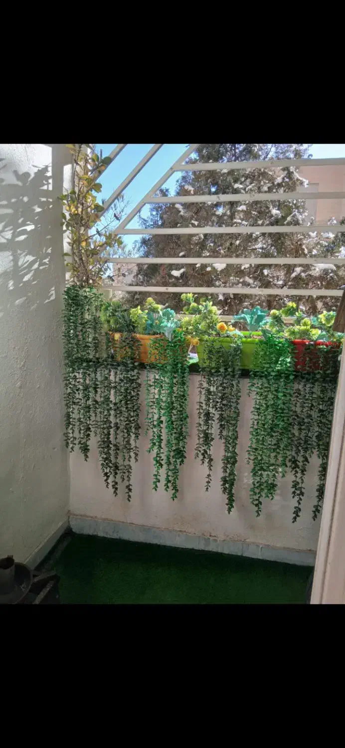 آپارتمان تک خواب ملکی تخلیه
