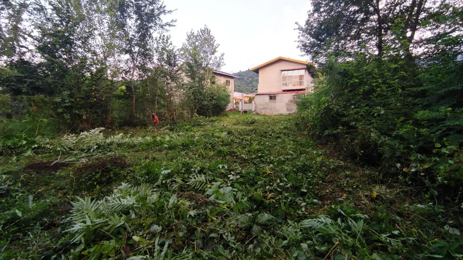 زمین مسکونی به متراژ ۲۹۶ متر