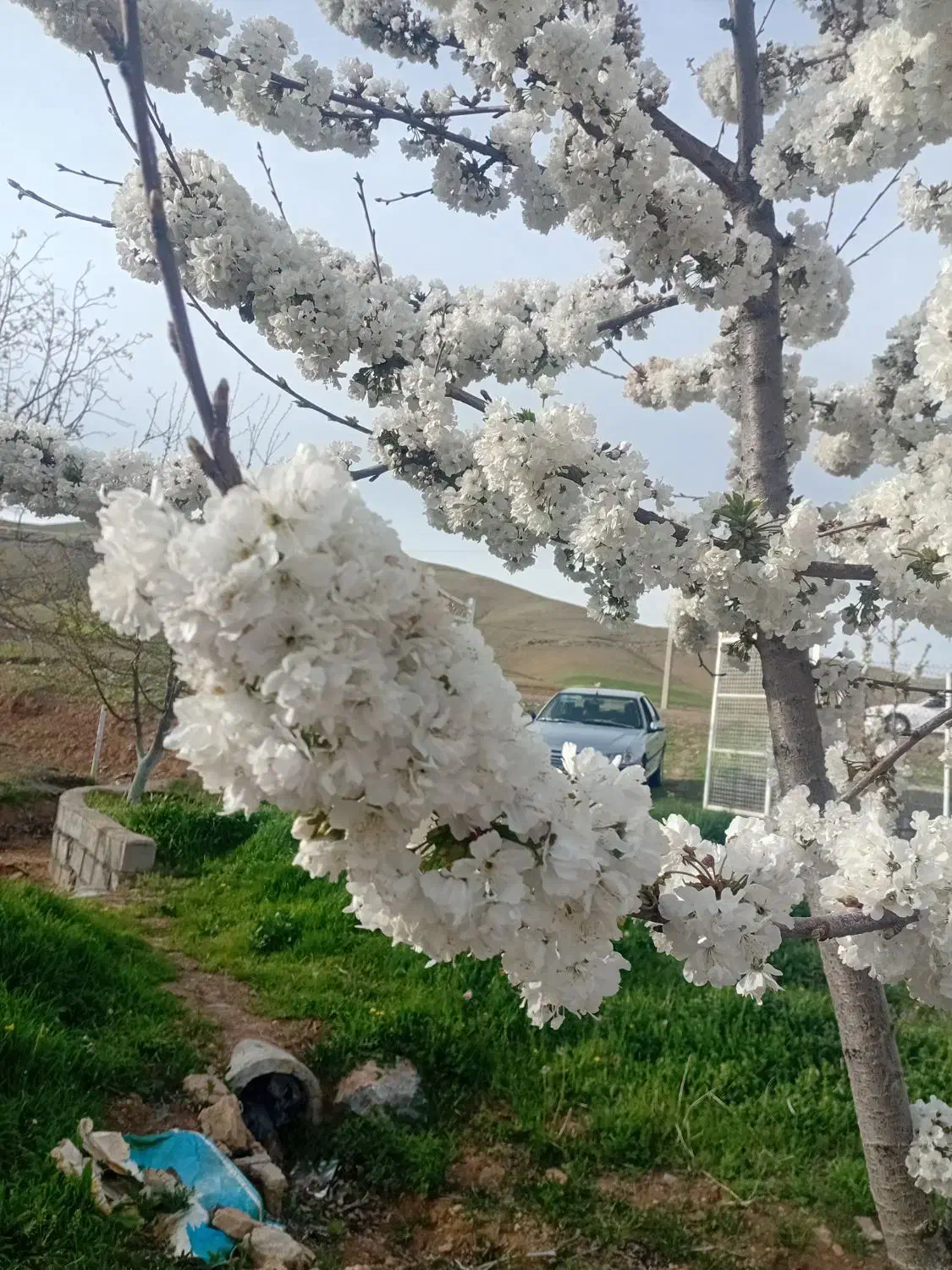 باغ روستای بوم گردی وتوریستی قره گزلو پایبن