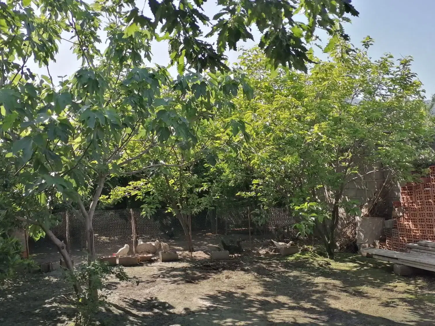 فروش ۲۰۰مترزمین مسکونی