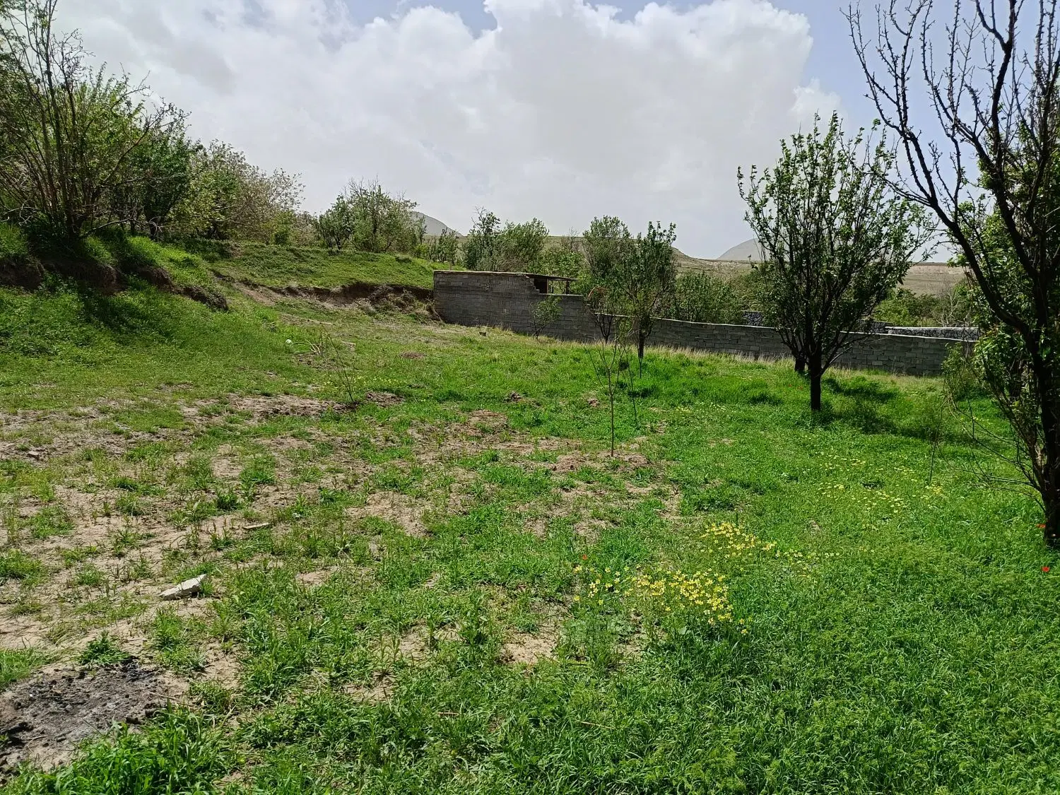 ویلا باغ ویلایی زمین آذرشهر خراجو