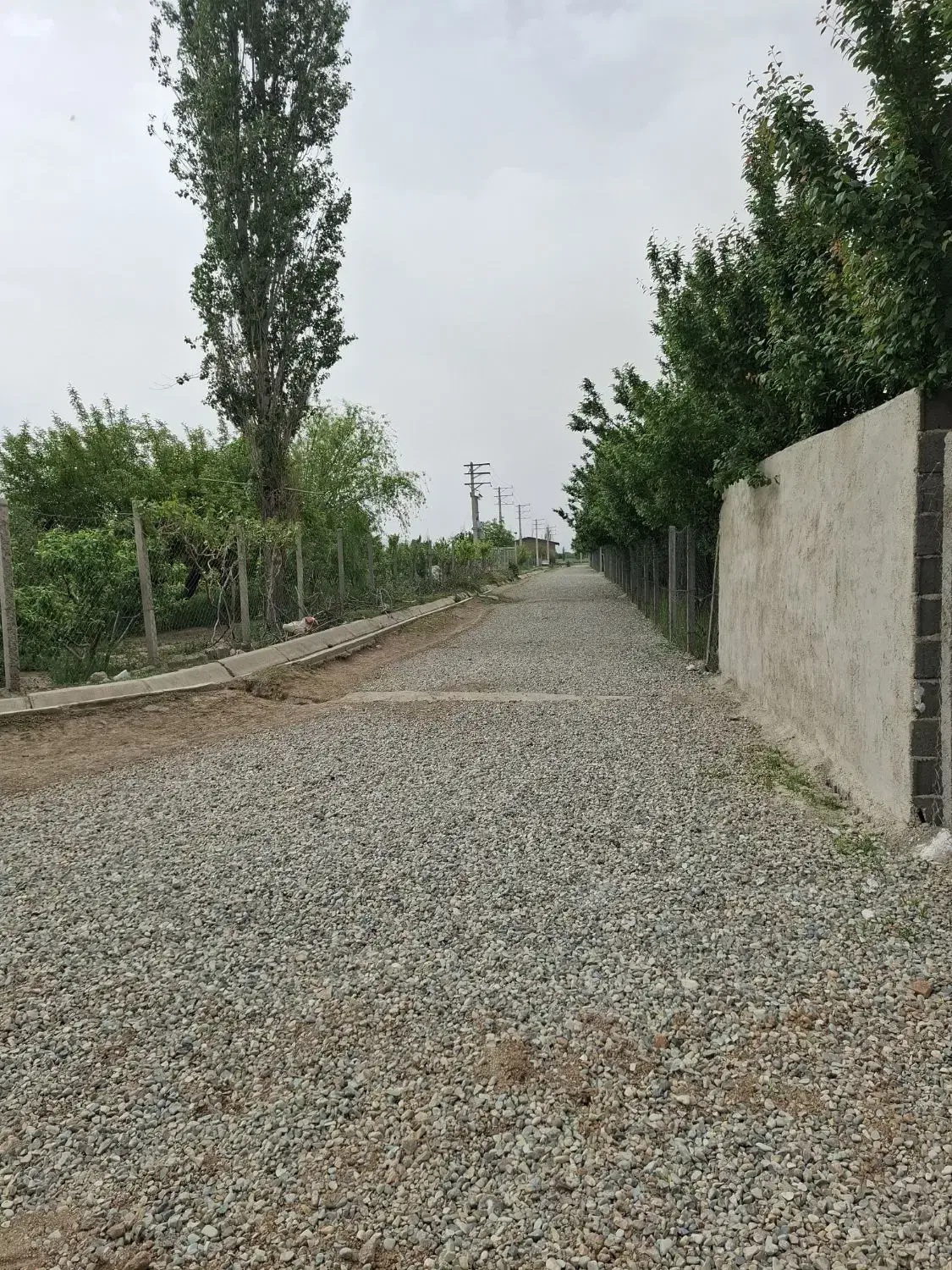 باغچه فروشی