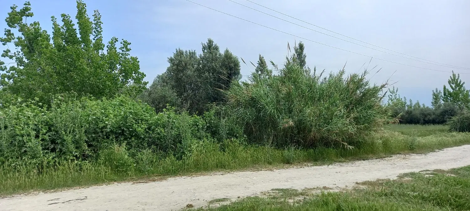 باغ به متراژ ۱۲۰۰ متر با سند شش دانگ