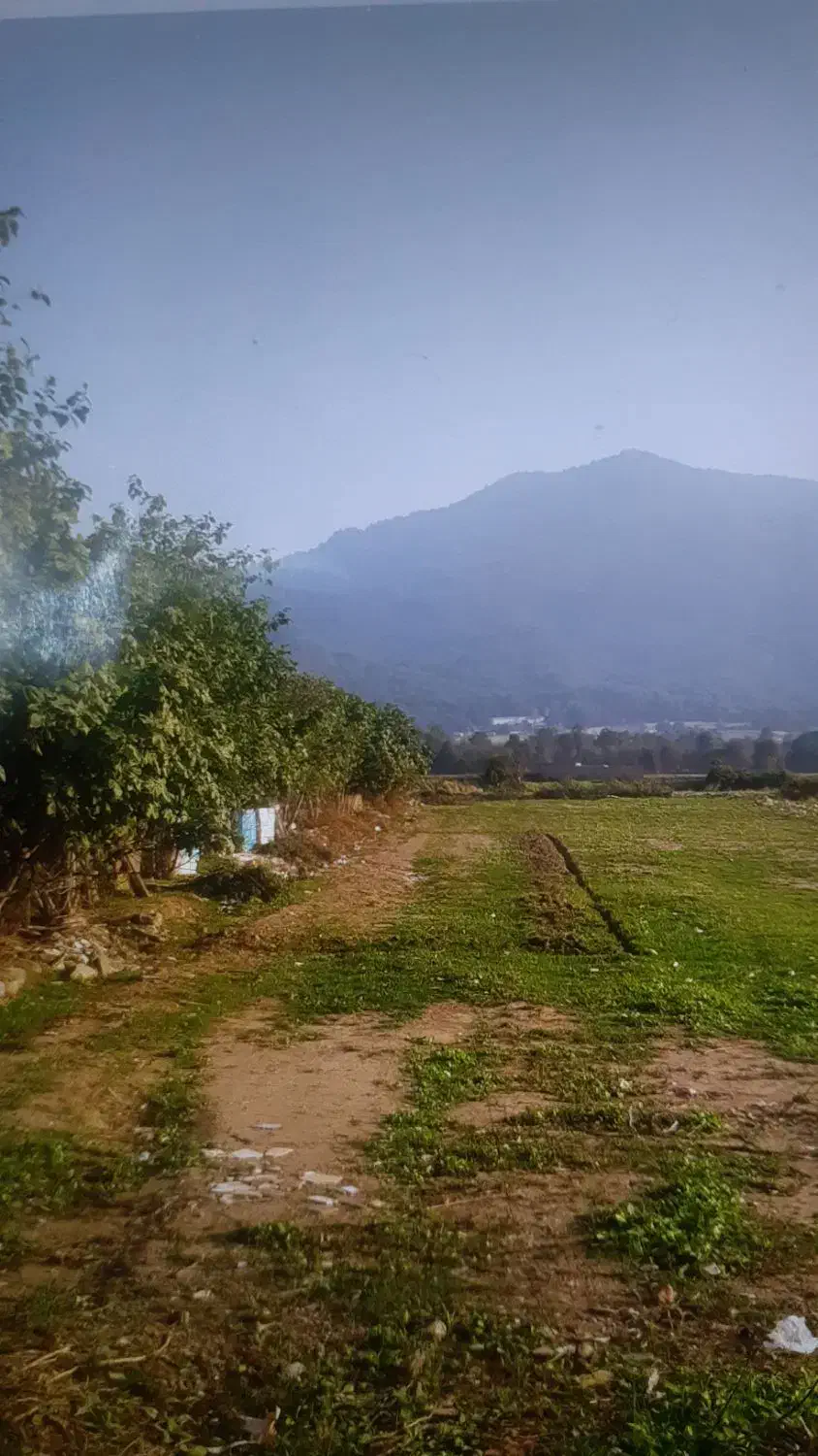 فروش زمین