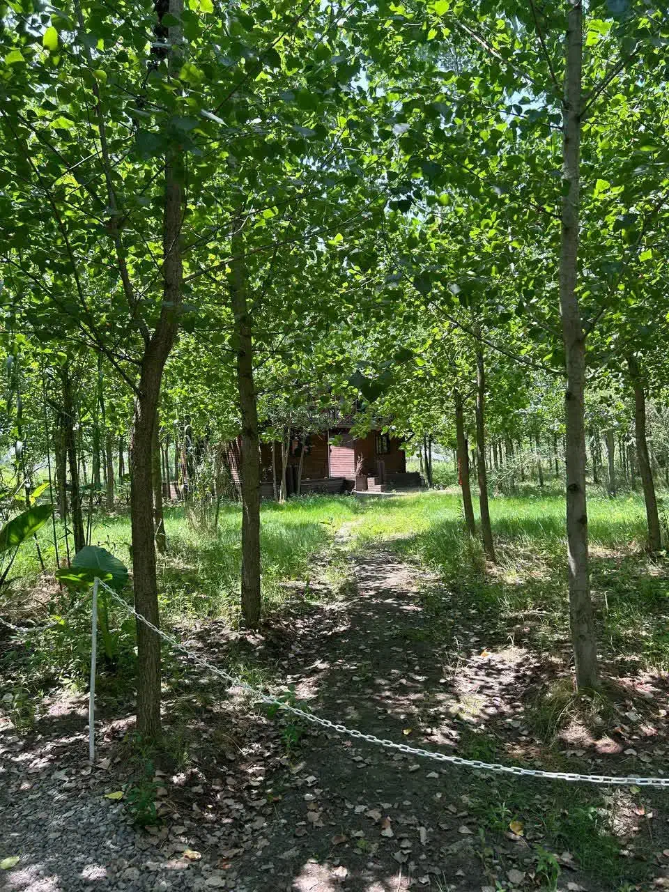 زندگی در دل بهشت