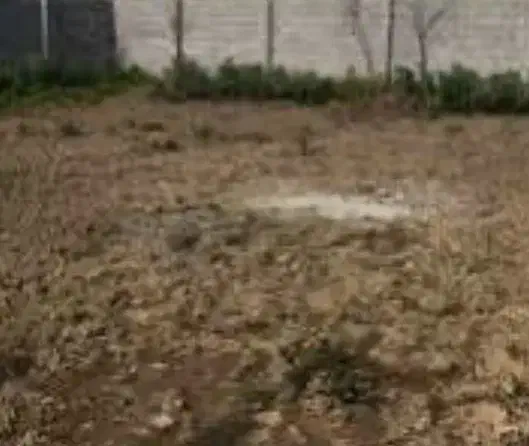 زمین روشن دشت ۲۰۰ متر