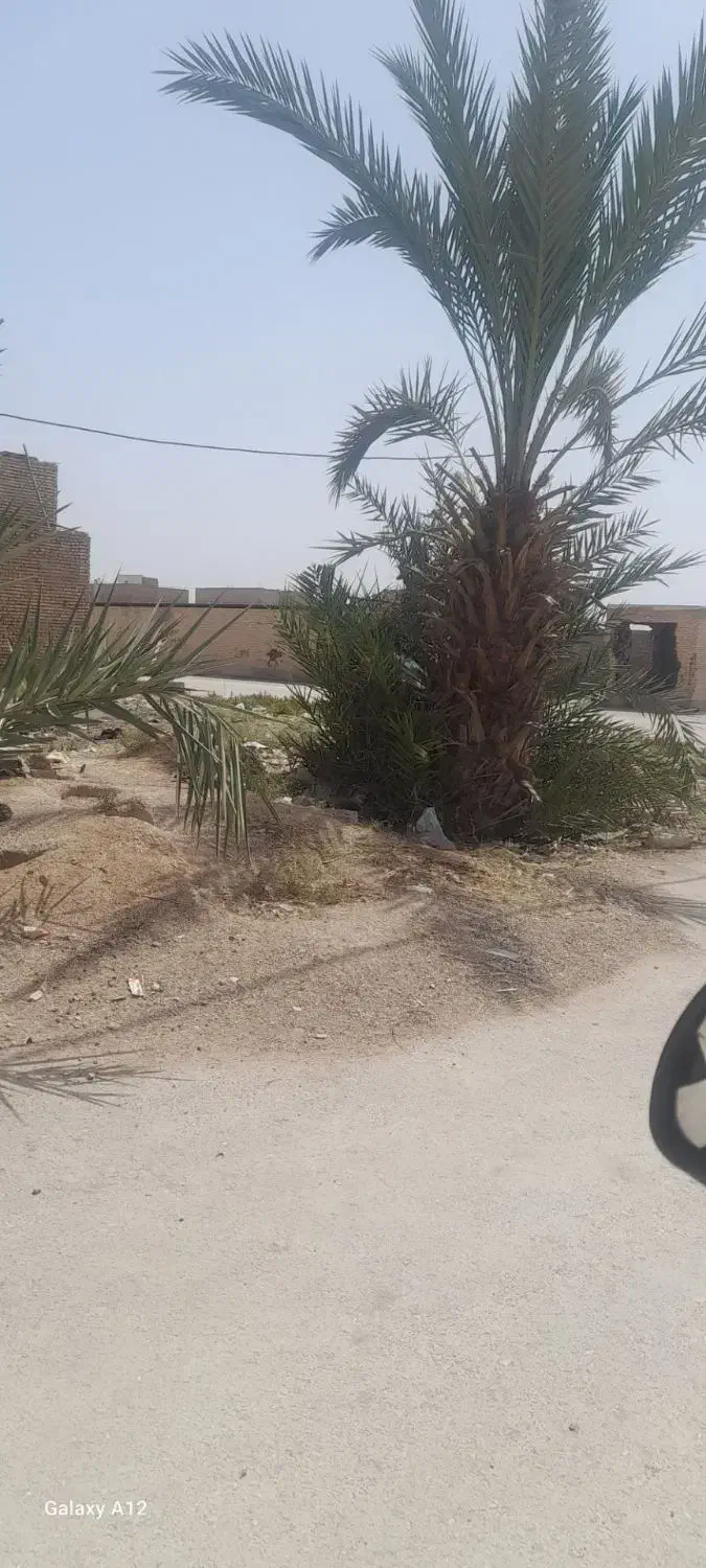 فروش زمین روبه روی بازارچه