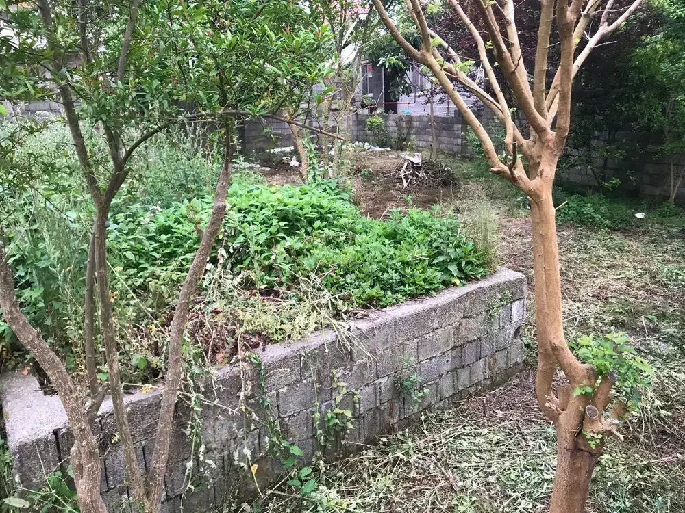 فروش زمین