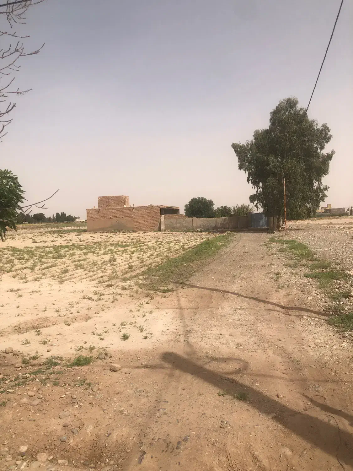 زمین باغی