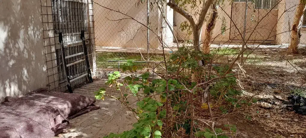خانه  دو طبقه بر خیابان مشیر غربی