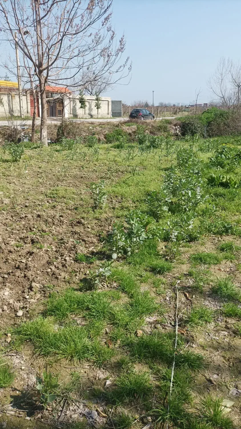 زمین داخل روستا چهارده به مساحت ۱۸۵متر