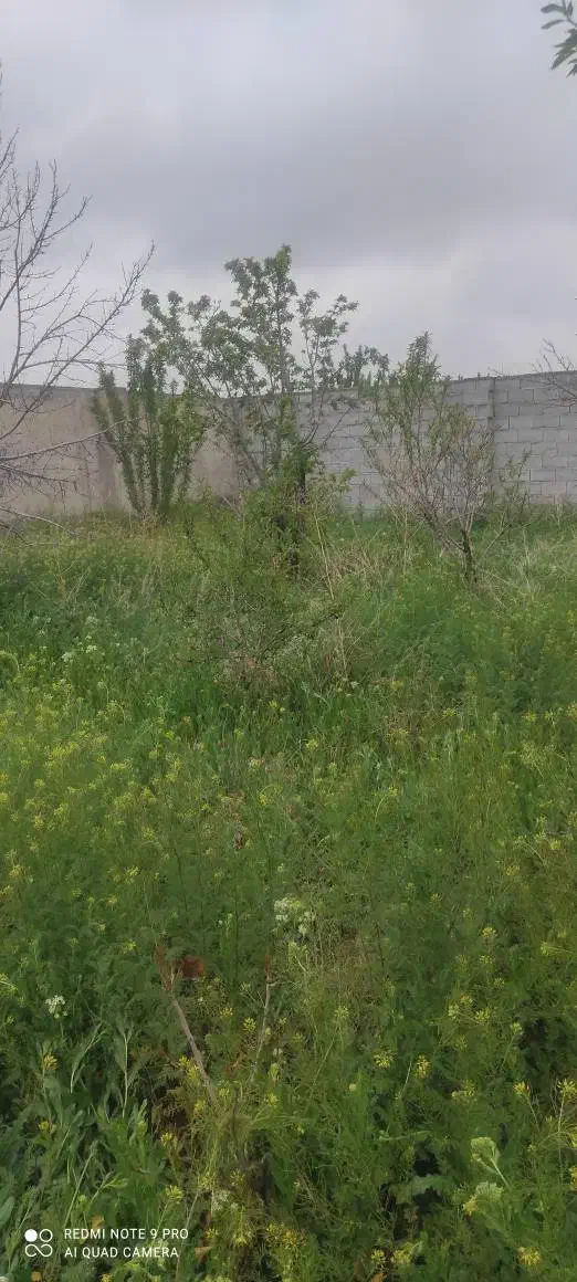 حیاط دربستی در ۱۸متری فیضیه