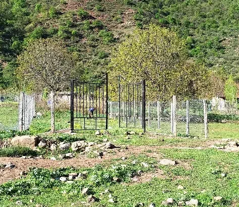 زمین باغی