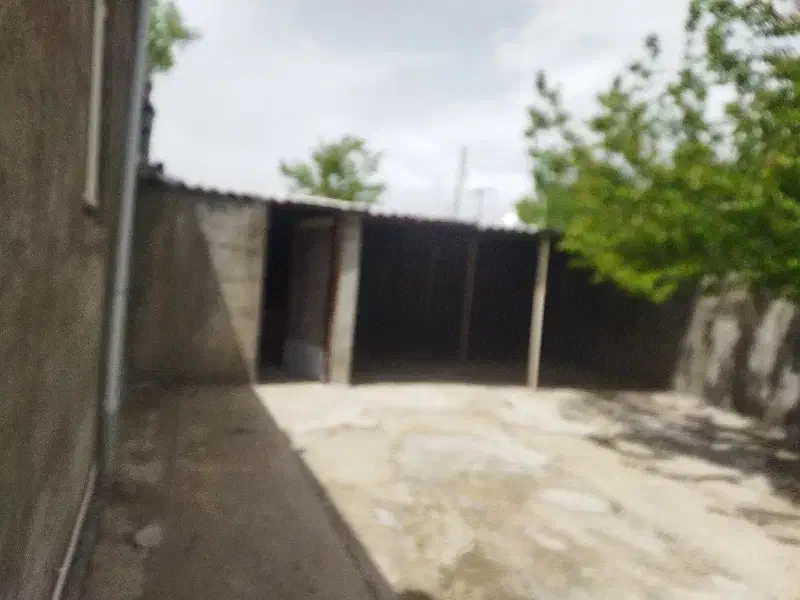100منرزمین