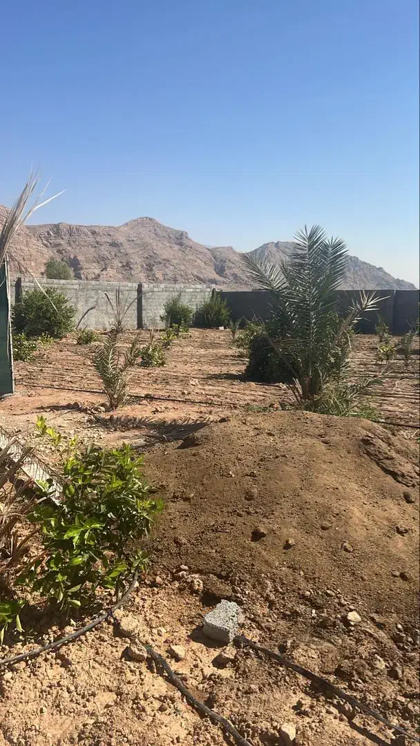 زمین سرنبش184متر‌موقعیت‌تجاری2میلیارد579