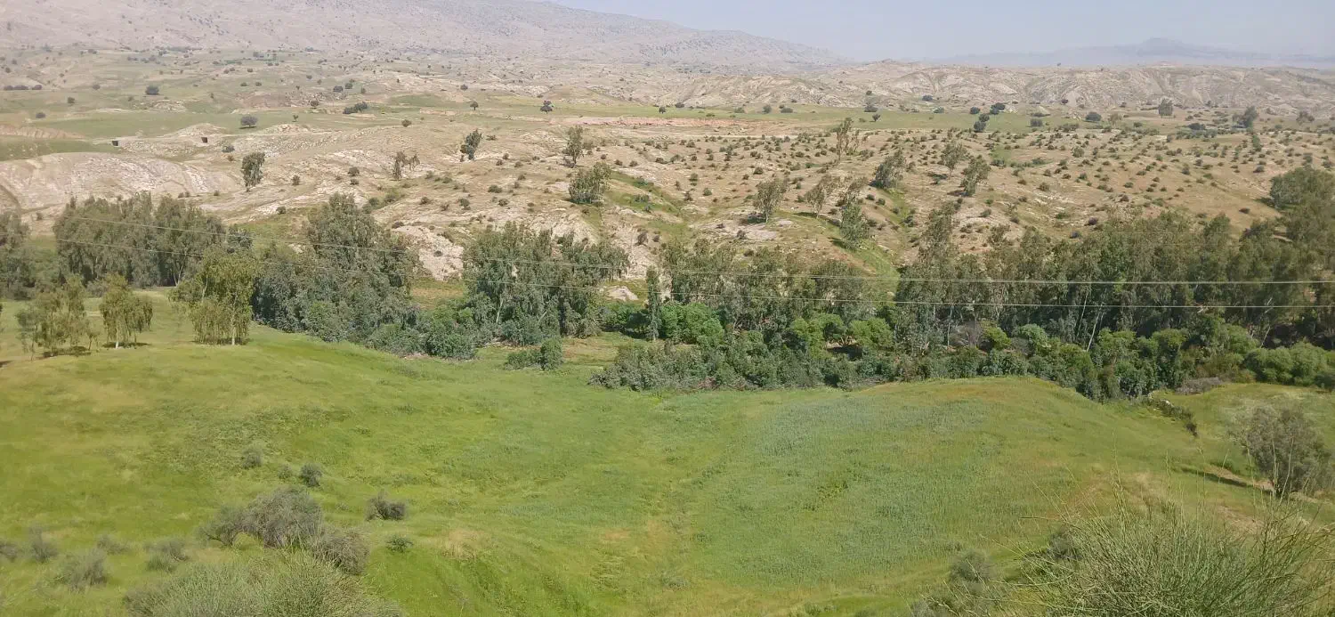 مشارکت یا اجاره طویله کوه چراگاه زمین کشاورزی
