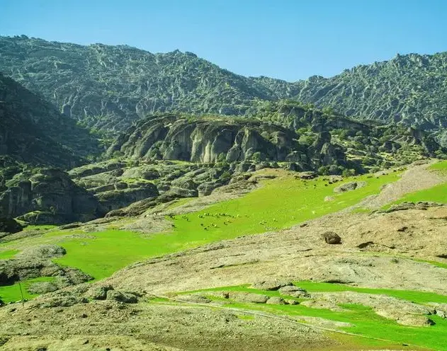 زمین قبرستان رباط نمکی