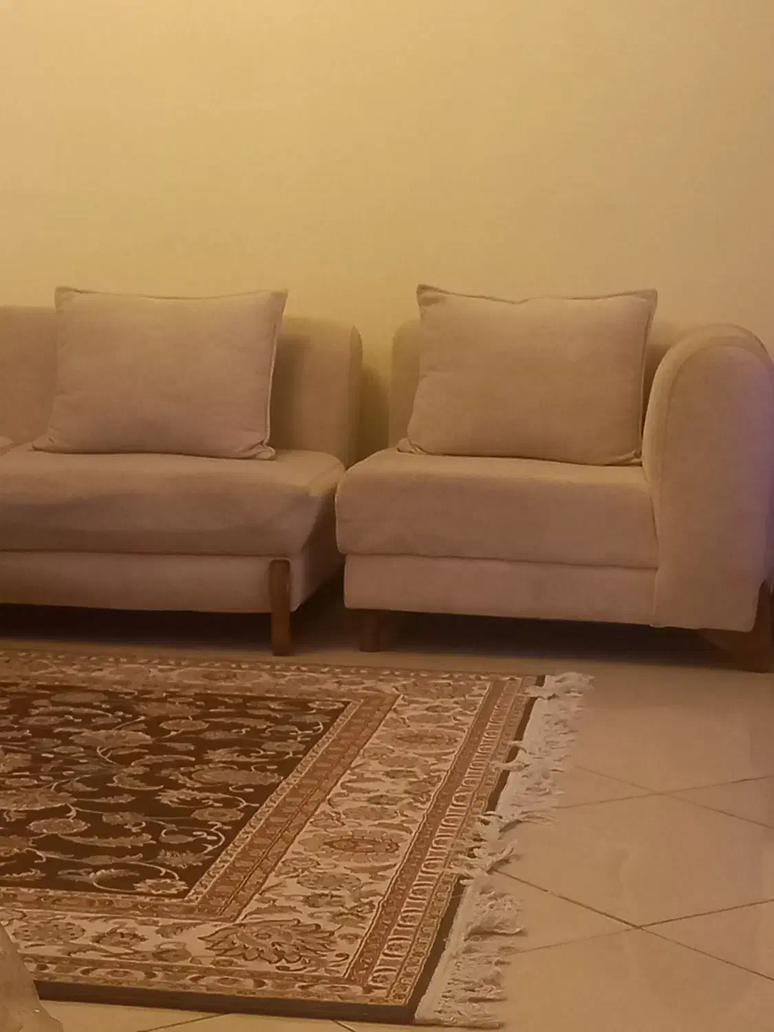نیاز به همخانه خانم