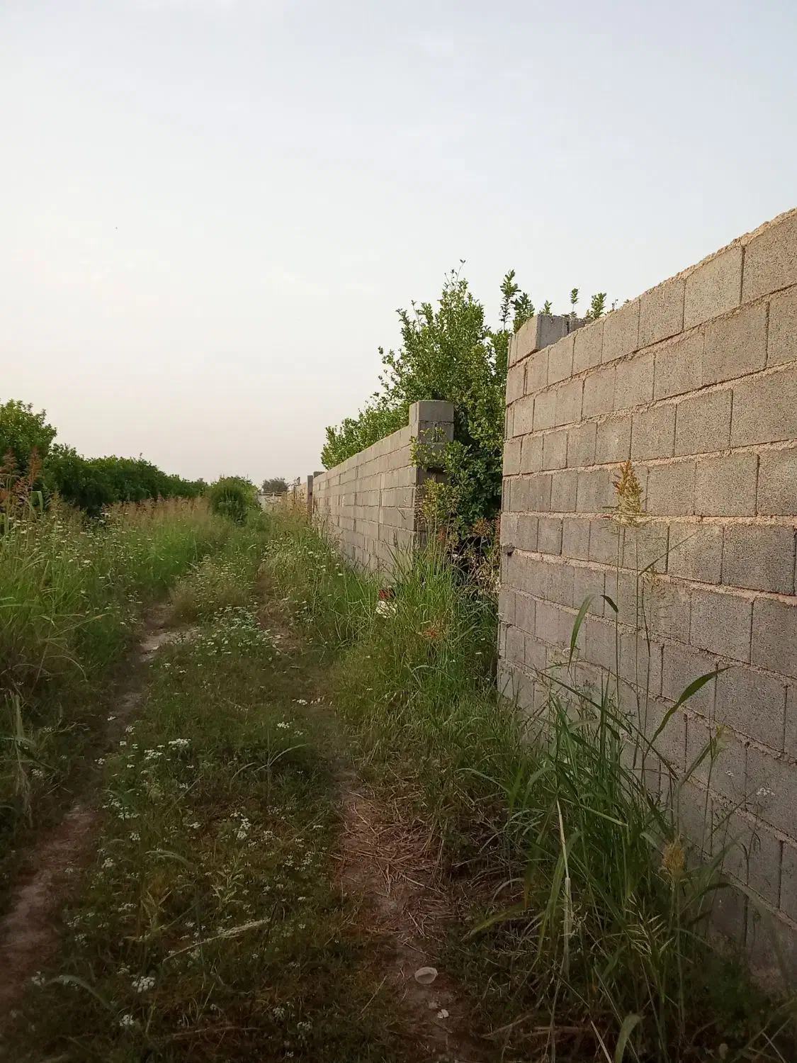 باغچه 600متری کوی گلستان شهرک منتظران