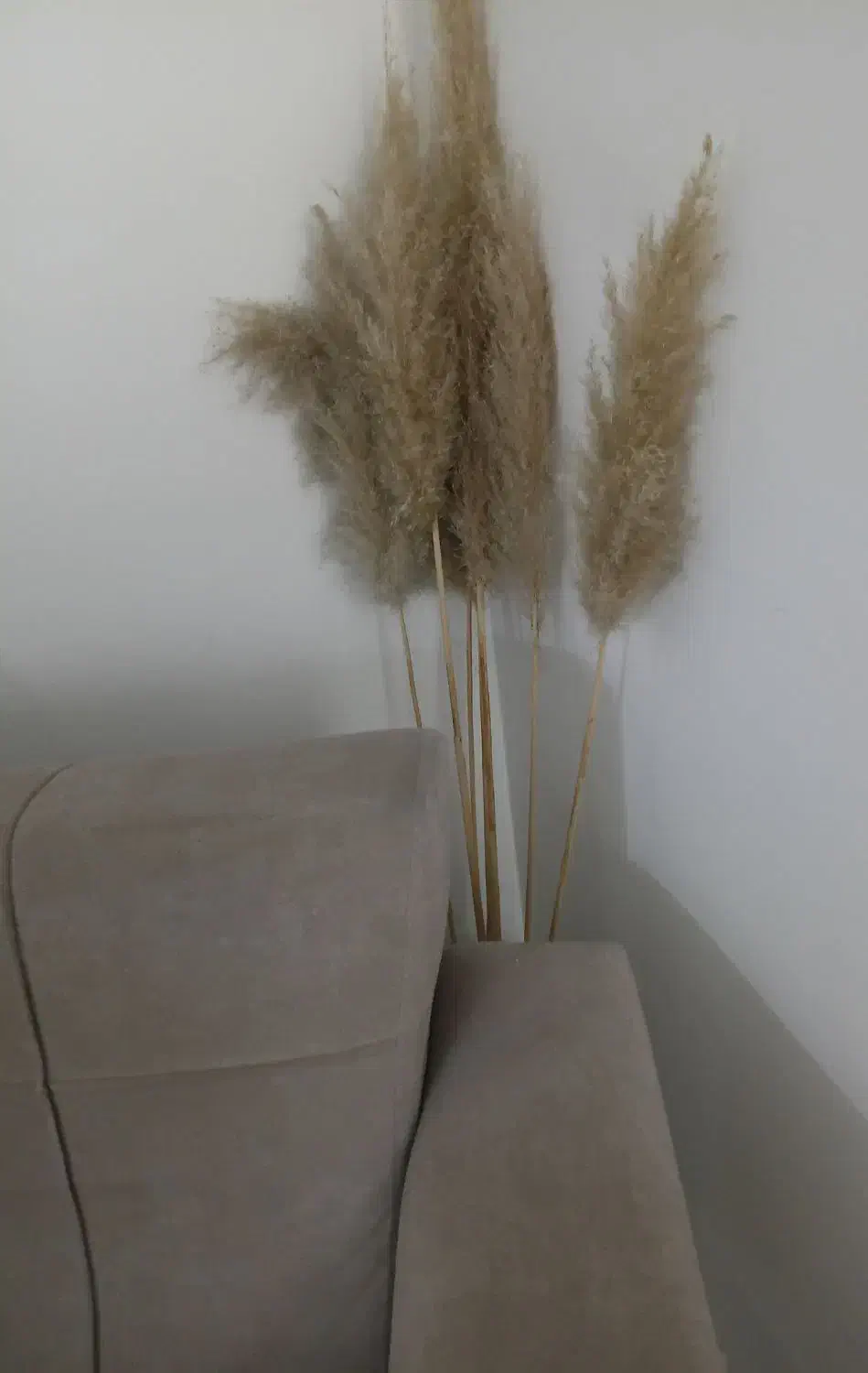 همخونه